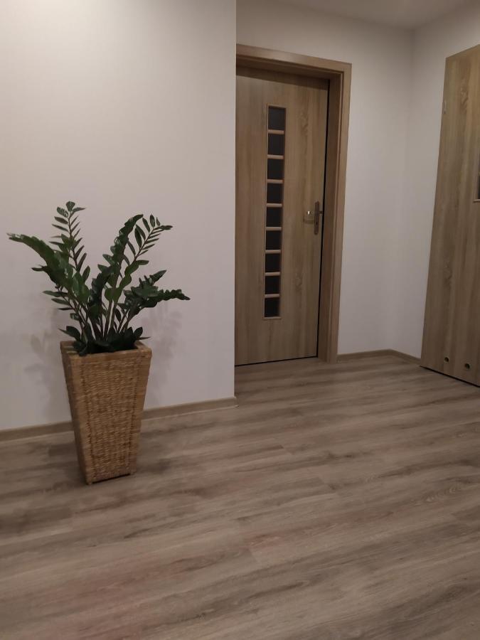 Apartament Kaola Jelenia Gora Dış mekan fotoğraf